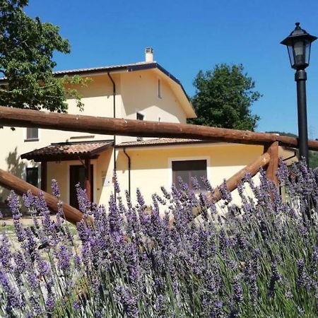 Agriturismo Acquafredda Βίλα Mormanno Εξωτερικό φωτογραφία