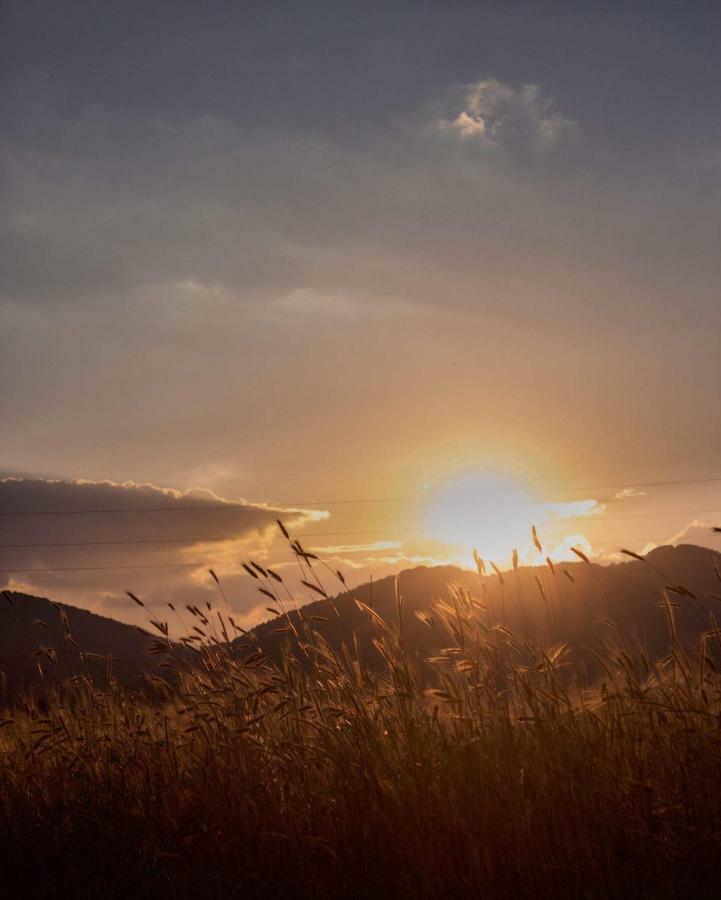 Agriturismo Acquafredda Βίλα Mormanno Εξωτερικό φωτογραφία