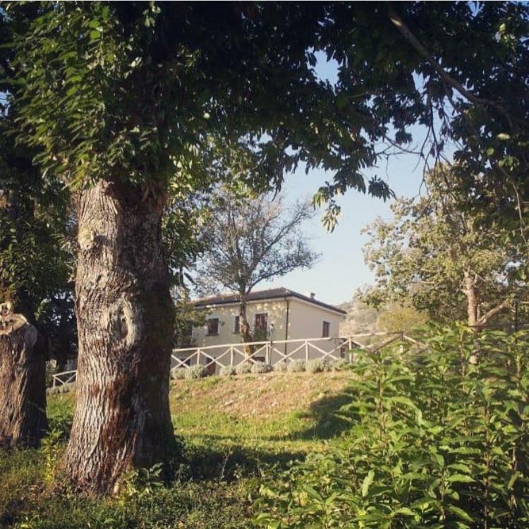 Agriturismo Acquafredda Βίλα Mormanno Εξωτερικό φωτογραφία