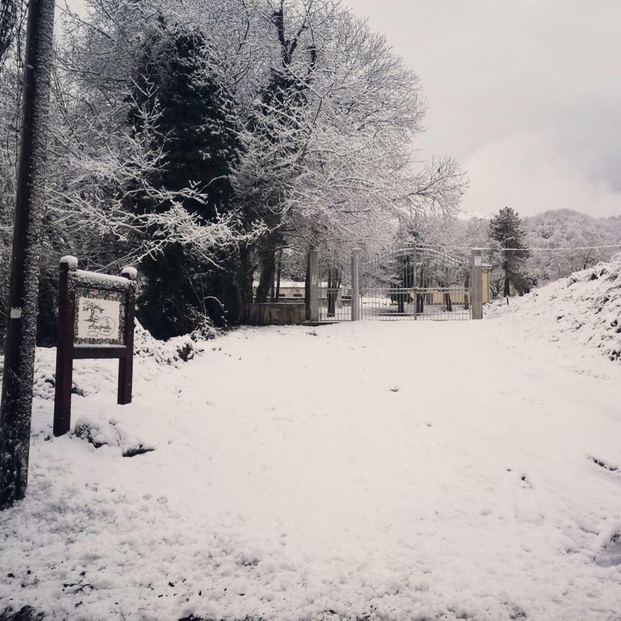 Agriturismo Acquafredda Βίλα Mormanno Εξωτερικό φωτογραφία
