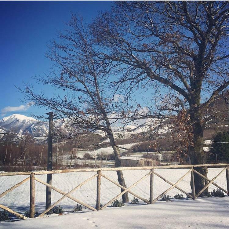 Agriturismo Acquafredda Βίλα Mormanno Εξωτερικό φωτογραφία