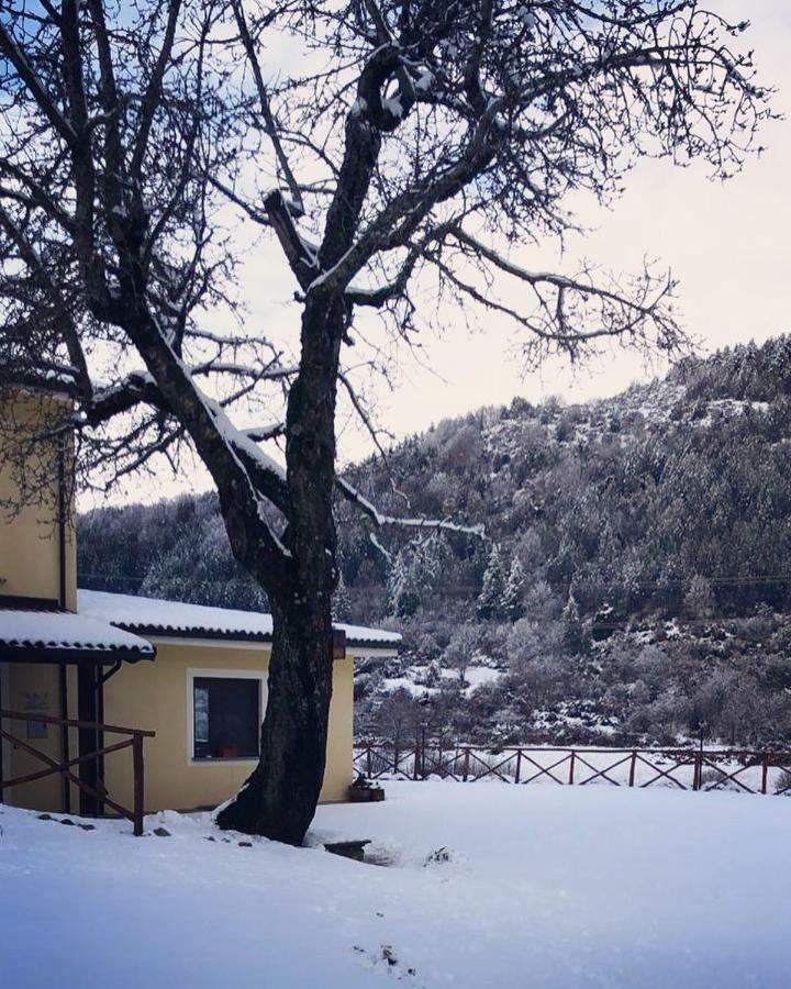 Agriturismo Acquafredda Βίλα Mormanno Εξωτερικό φωτογραφία